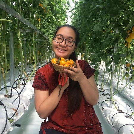 考柯汤姆叔叔小屋 考科 外观 照片